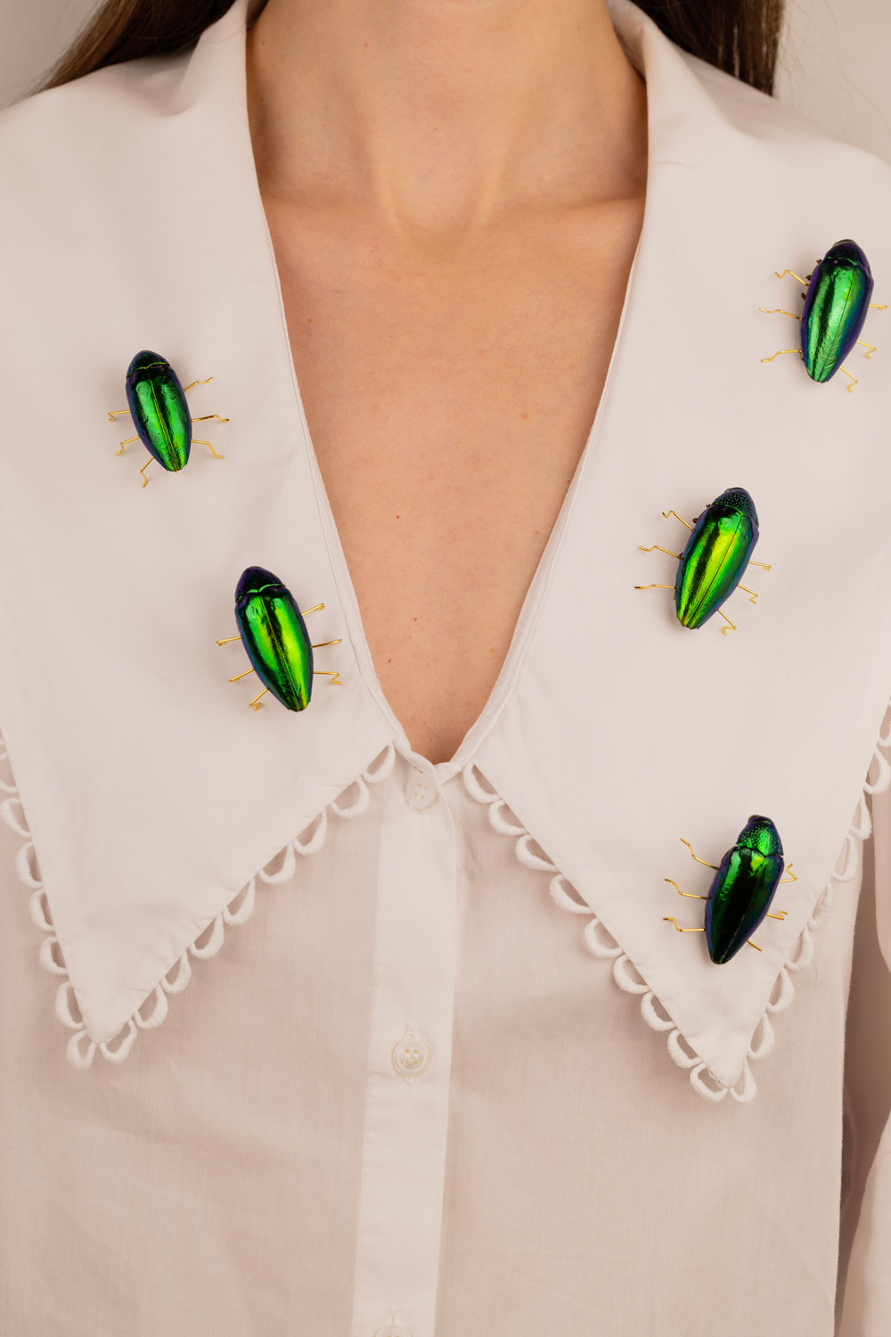 real insect brooch upcycled accessories Oana Savu