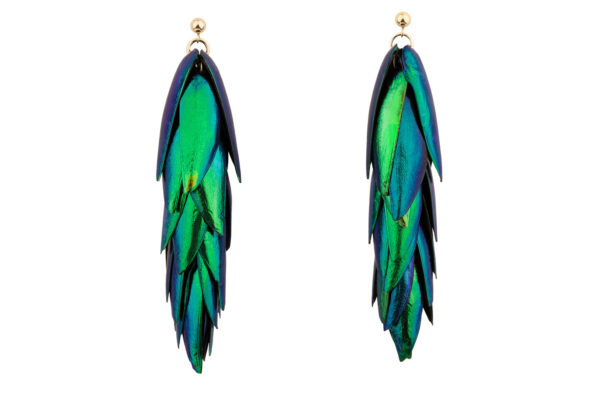 beetle earrings with amazing natural colors, perfect choice for a stand out appearance or ultimate gift idea