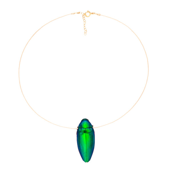 Floating Beetle