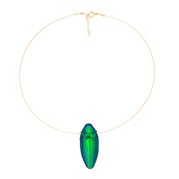 Floating Beetle