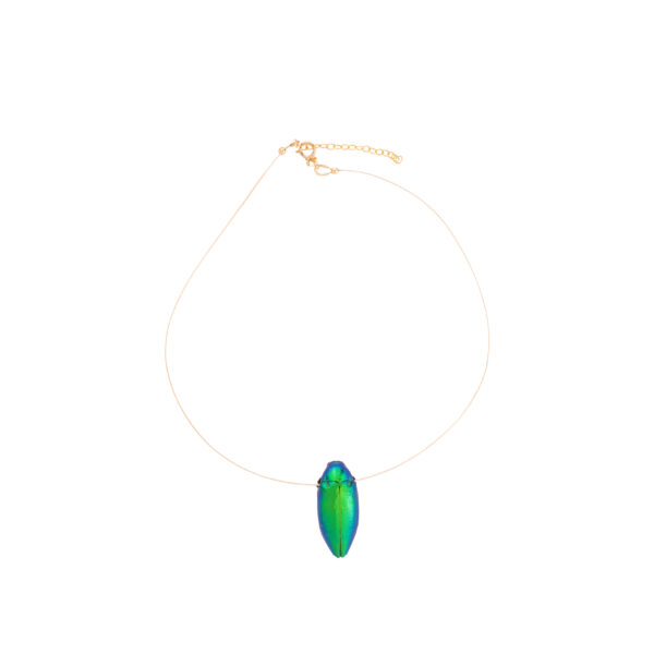 beetle pendant by oana savu, an outstanding jewelry with special handmade design