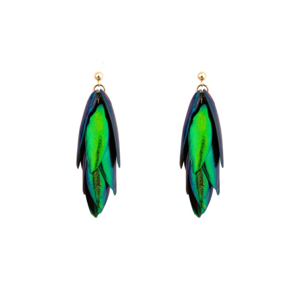 beetle earrings with amazing natural colors, perfect choice for a stand out appearance or ultimate gift idea