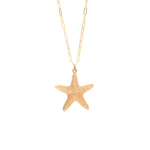 Handmade gold filled necklace with sea star pendant. Yellow Gold chain necklace with big sea star pendant. Summer holiday necklace, neck-wear.