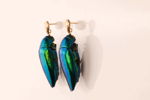 Handcrafted earrings featuring 2 entire scarab beetles, filled with jewelry clay. The vibrant emerald-green beetle, sustainably sourced and recycled from a restaurant in Thailand, makes this eco-friendly piece a unique and ethical statement accessory. Perfect for the Holiday season as a distinctive gift or elegant addition to your jewelry collection.