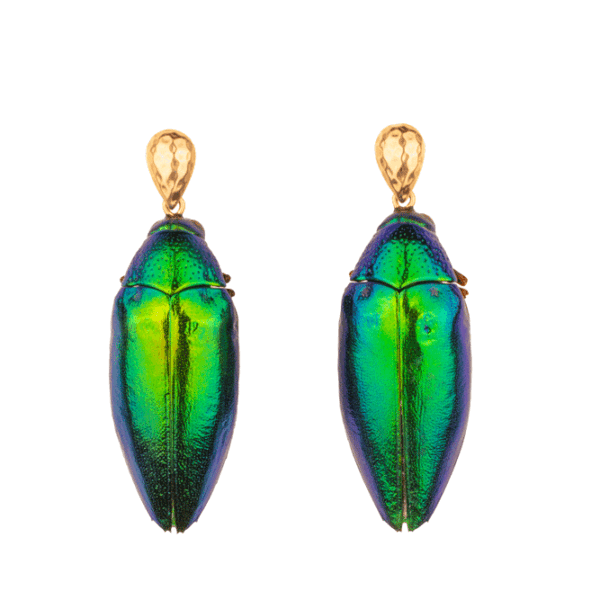 Handcrafted earrings featuring 2 entire scarab beetles, filled with jewelry clay. The vibrant emerald-green beetle, sustainably sourced and recycled from a restaurant in Thailand, makes this eco-friendly piece a unique and ethical statement accessory. Perfect for the Holiday season as a distinctive gift or elegant addition to your jewelry collection.