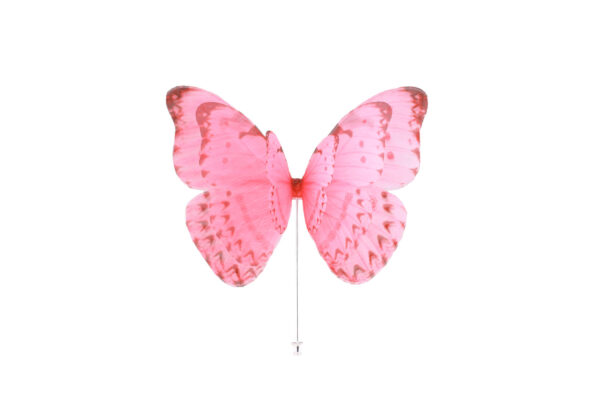 Butterfly Brooch - Pink