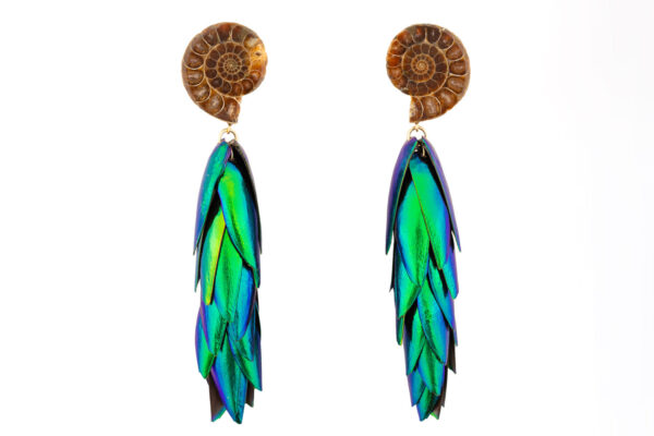 Large ammonite earrings showcasing detailed spiral fossils with warm colors and iridescent beetle wings, handmade by oana savu