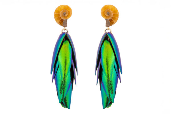 Small ammonite fossil earrings with natural spiral patterns on a white background
