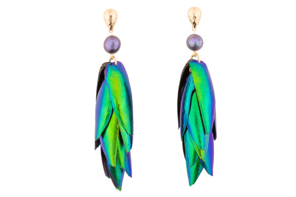 Beetle wings earrings with iridescent peacock pearls and gold accents