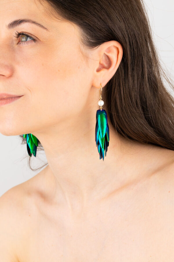 Beetle wings earrings with white freshwater pearls and gold hooks