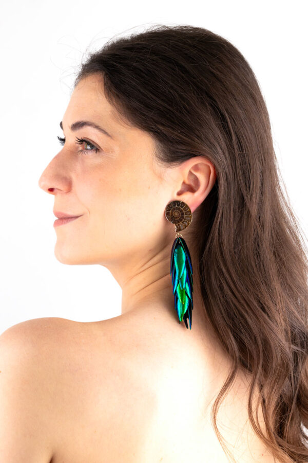 Large ammonite fossil clip earrings showcasing detailed spiral fossils with warm colors and beetle wings