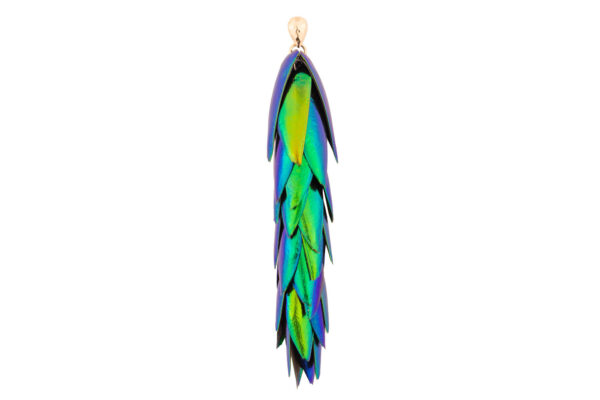 Beetle wings single earring with gold filled stud designed by oana savu perfect for daring outfits