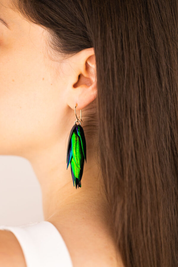 Beetle wings earrings with gold filled hooks