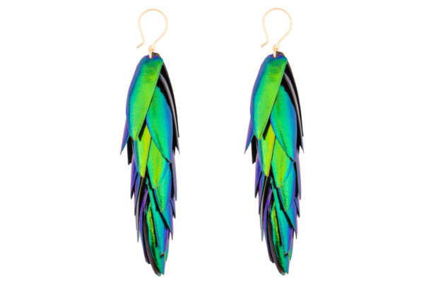 Beetle wings earrings with gold filled hooks