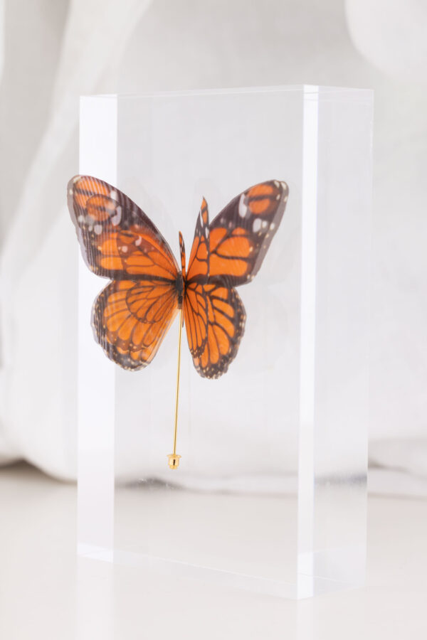 Butterfly Brooch - Monarch - Image 5