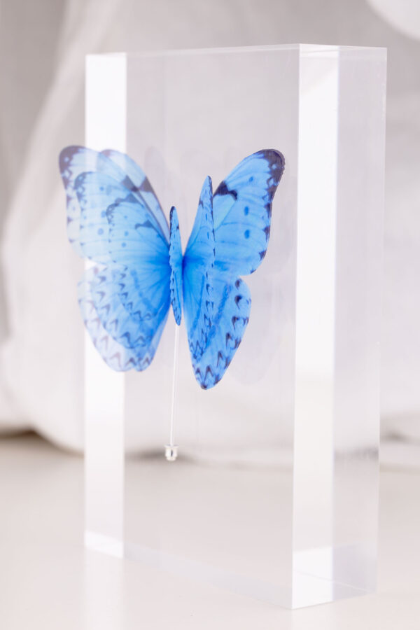 Butterfly Brooch - Light Blue - Image 6