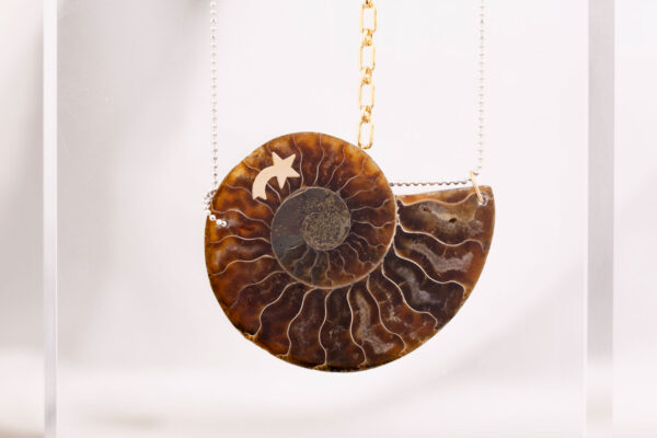 Ammonite Pendant - Image 2