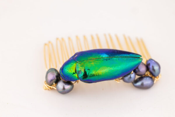 Beetle Hair Comb - Image 4