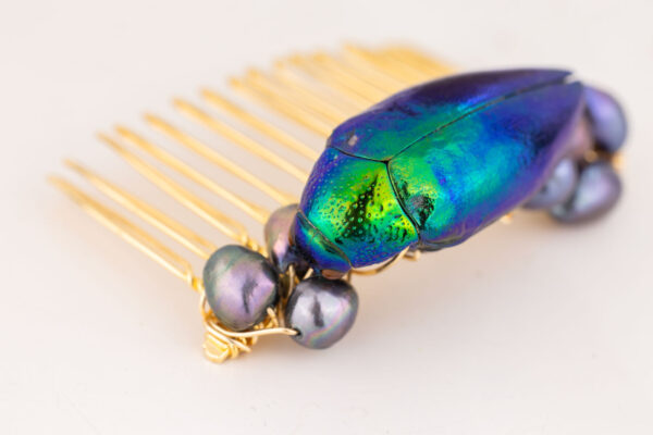 Beetle Hair Comb - Image 3