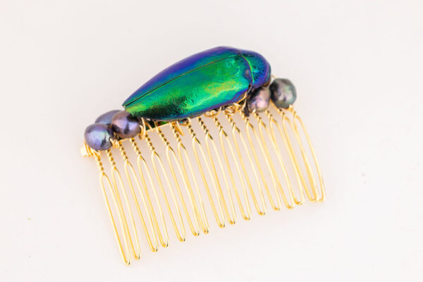 Beetle Hair Comb - Image 2