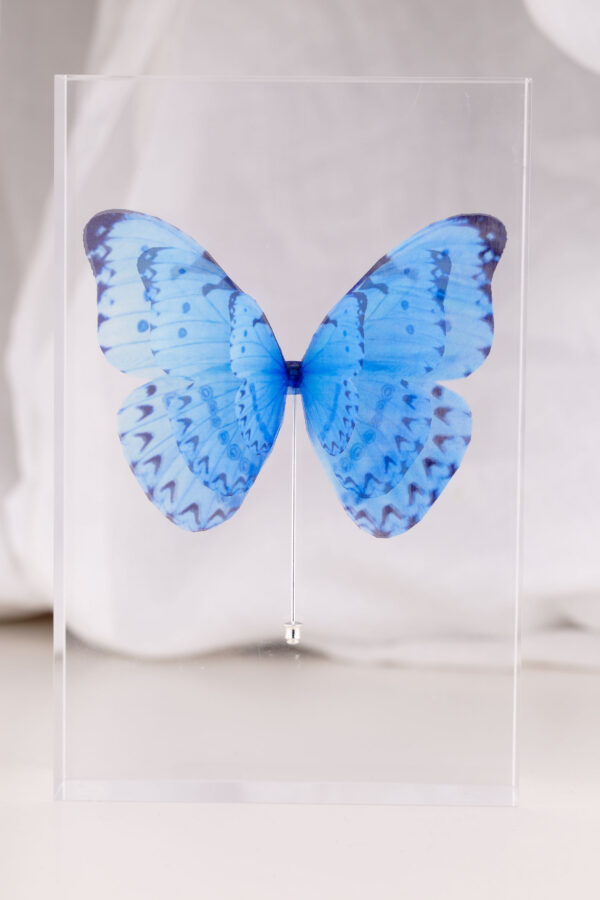 Butterfly Brooch - Light Blue - Image 7