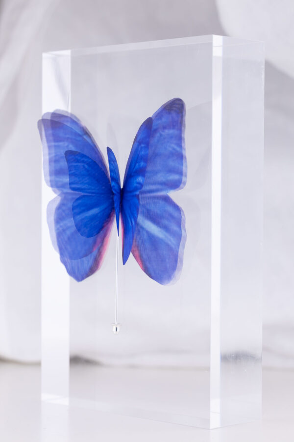 Butterfly Brooch - Dark Blue - Image 3