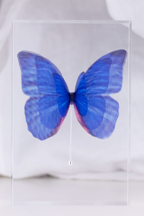 Butterfly Brooch - Dark Blue - Image 4