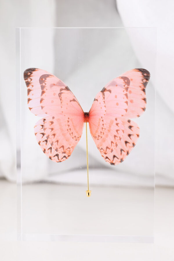 Butterfly Brooch - Dusty Pink - Image 4