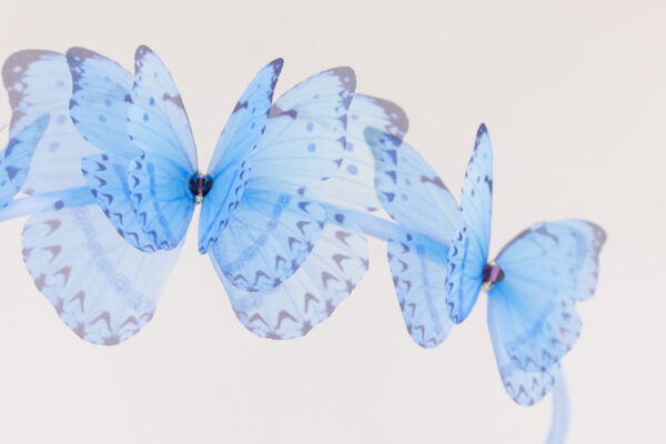 Butterfly Headband - Light Blue - Image 4