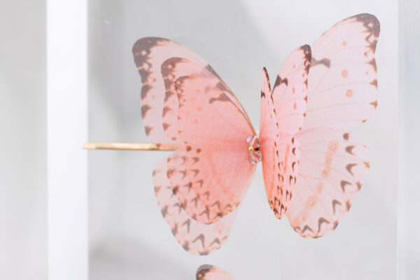 Butterfly Bobby Pin Duo - Dusty Pink - Image 7