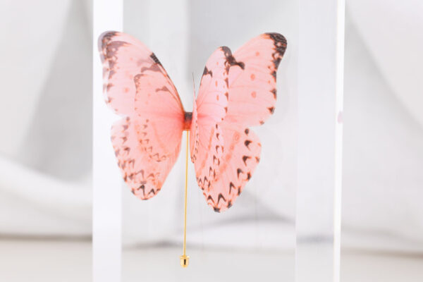 Butterfly Brooch - Dusty Pink - Image 5