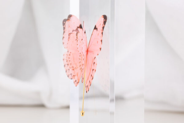 Butterfly Brooch - Dusty Pink - Image 6