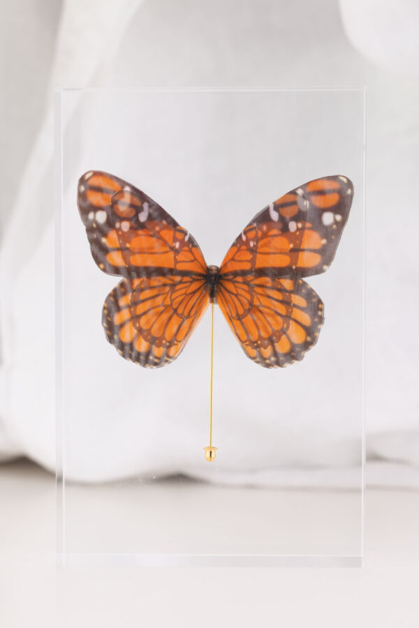Butterfly Brooch - Monarch - Image 4