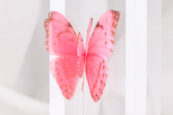 Butterfly Brooch - Pink - Image 2