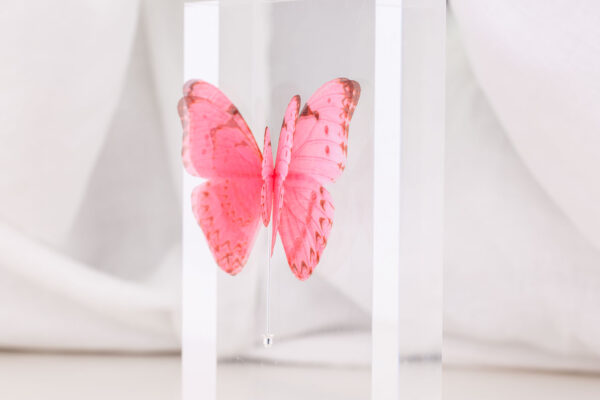 Butterfly Brooch - Pink - Image 3