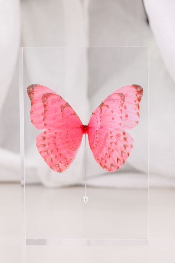 Butterfly Brooch - Pink - Image 4