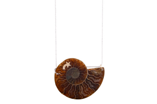 ammonite pendant made with ammonite fossile, 14k gold charm , sterling silver chain, a beautiful ammonite necklace easy to wear and perfect for any outfit designed by oana savu