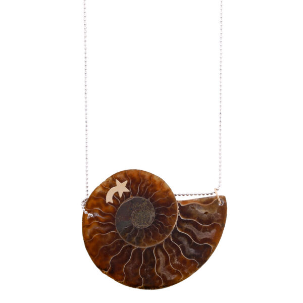 ammonite pendant made with ammonite fossile, 14k gold charm , sterling silver chain, a beautiful ammonite necklace easy to wear and perfect for any outfit designed by oana savu