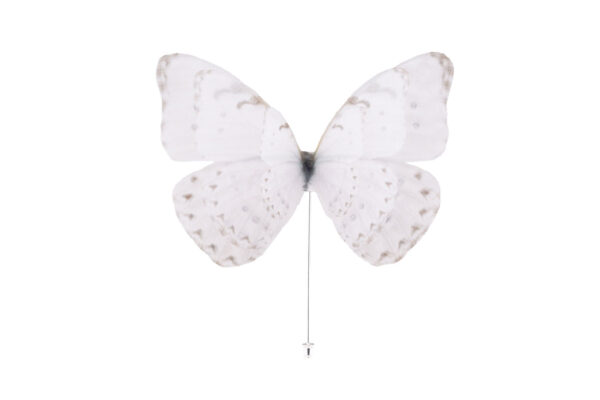 Butterfly Brooch - Off White