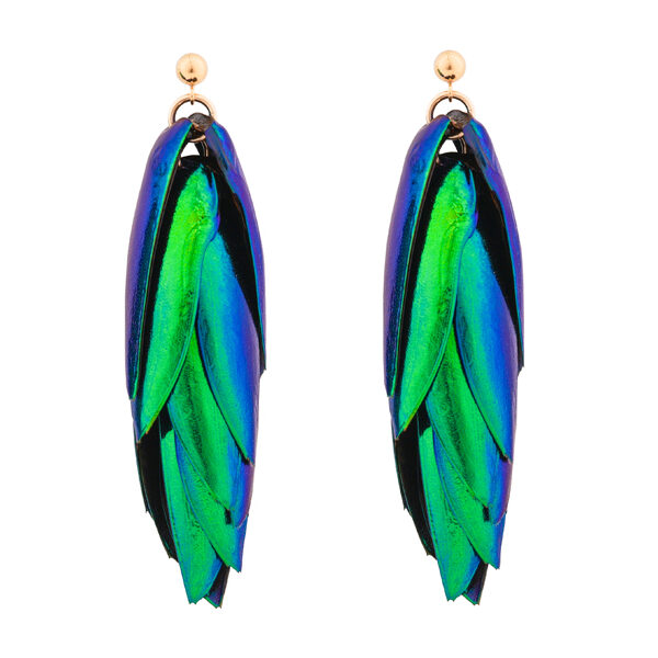 Beetle Earrings Ball Studs - Short