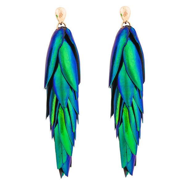 Beetle Earrings Drop Ear Studs - Long